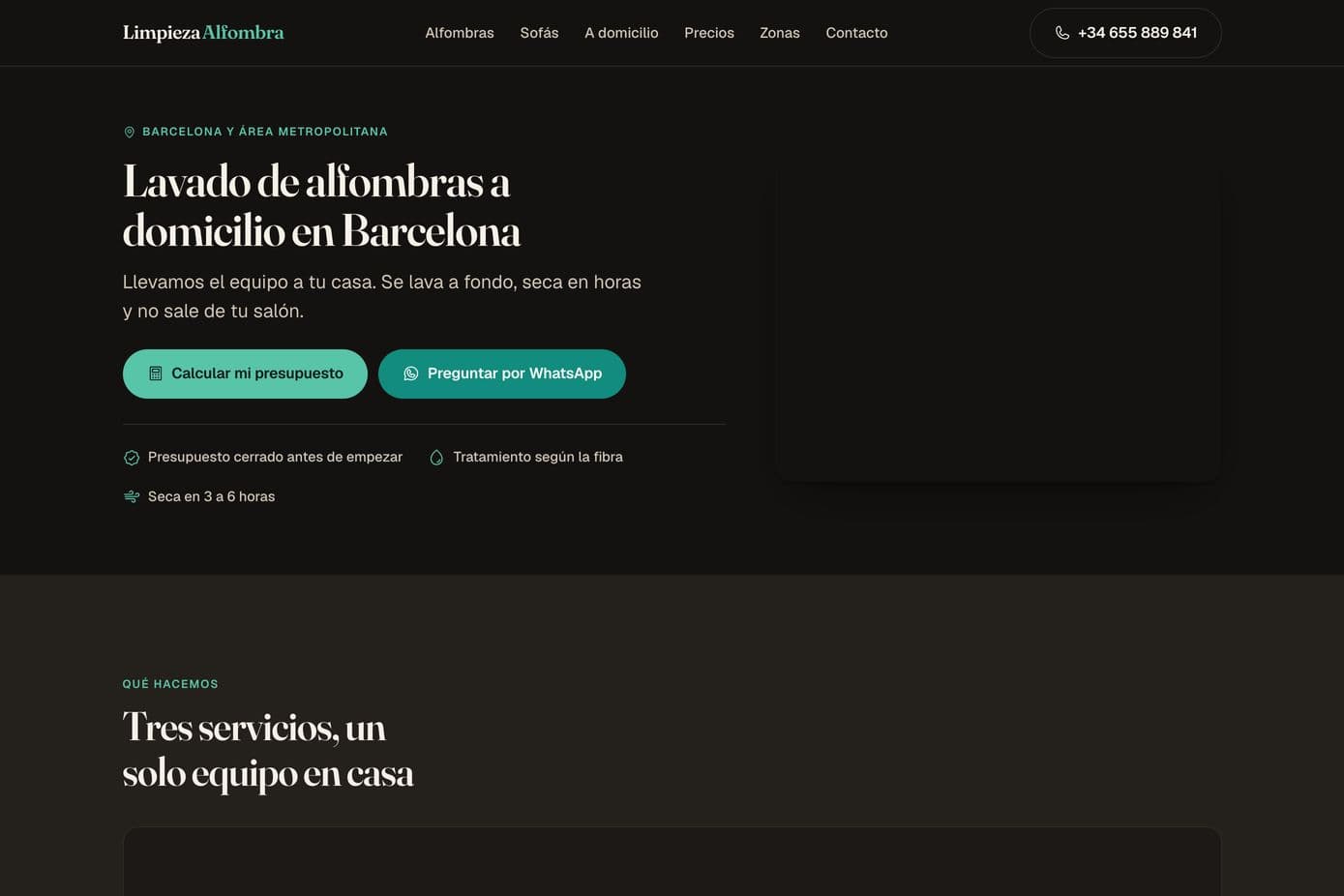 Captura de la web de Limpieza Alfombra