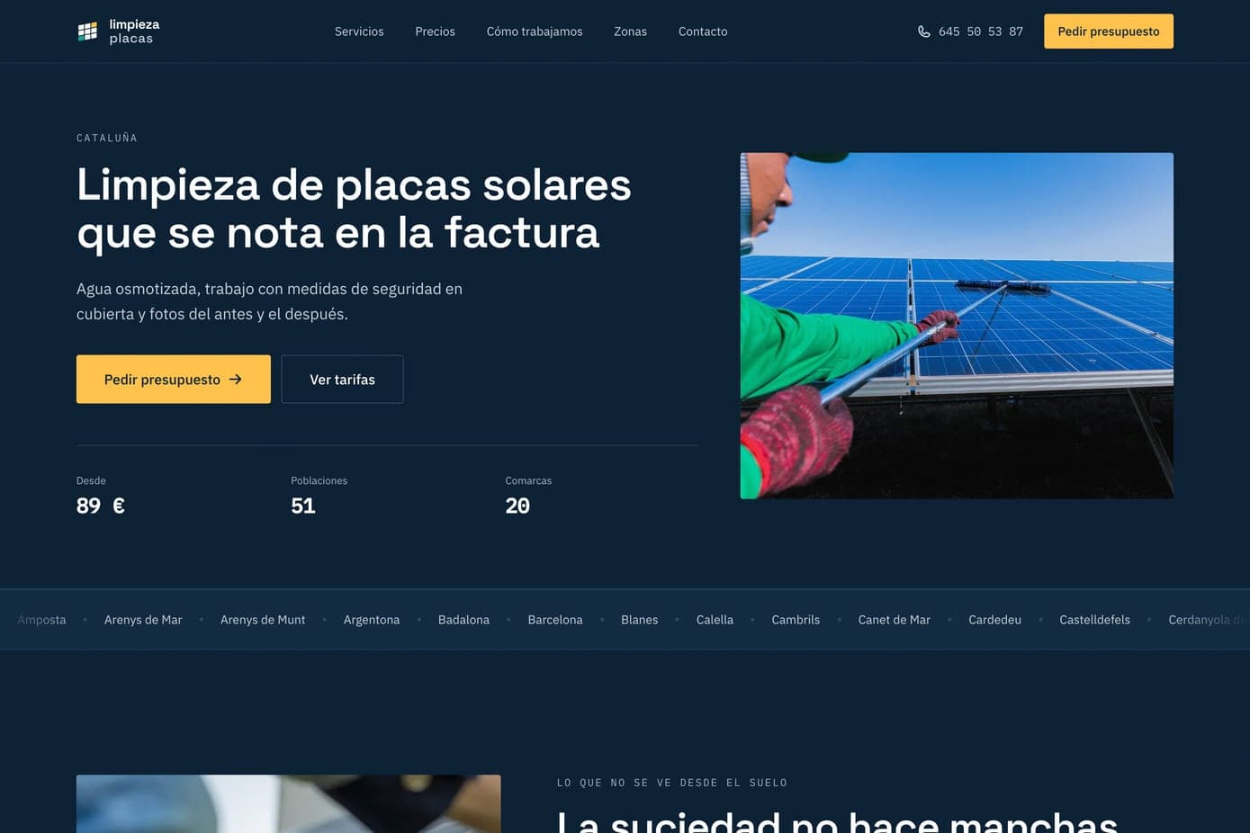 Captura de la web de Limpieza de Placas